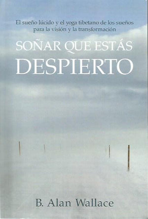 Soñar Que Estás Despierto