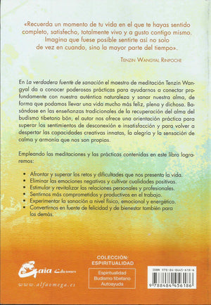 La Verdadera Fuente de Sanación   La Antigua Práctica Tibetana de la Recuperación del Alma