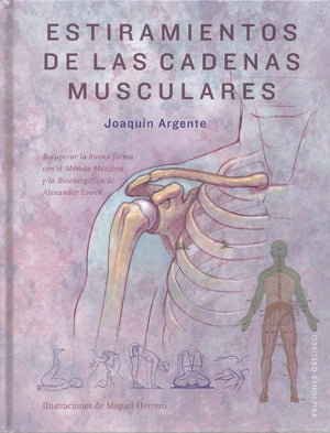 Estiramientos De Las Cadenas Musculares