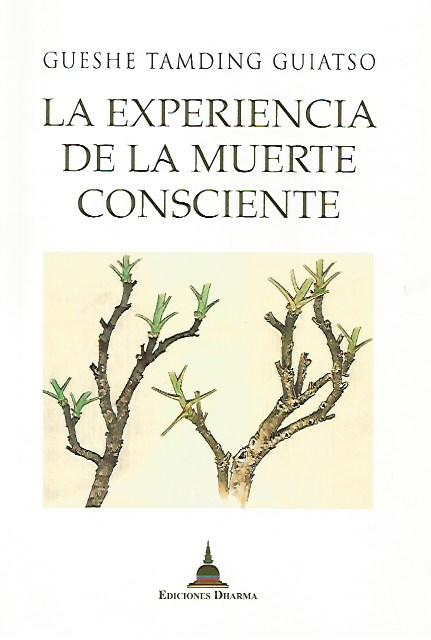 La experiencia de la muerte consciente - NALANDA | Tu motor de búsqueda interna