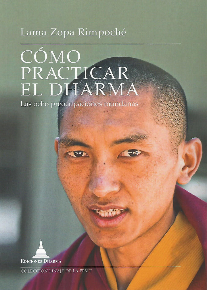 Cómo Practicar el Dharma