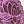 Mandala con Loto Morado