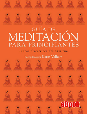 Guía De Meditación Para Principiantes